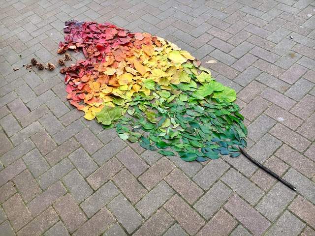 秋天特有景色《落葉畫》充滿色彩的落葉特別美呢 秋天特有景色《落葉畫》充滿色彩的落葉特別美呢