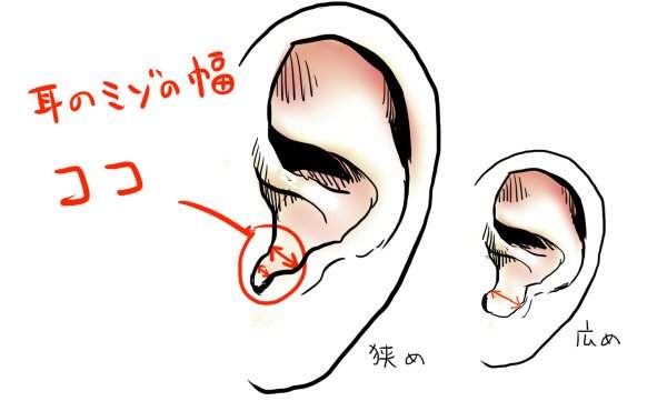 耳溝的寬度代表《●●的鬆緊度》女生要小心人家觀察妳的耳朵…… - 圖片2
