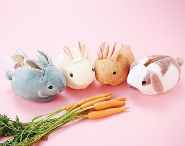 《兔子隨身包》今天也有圓滾滾兔兔相隨♥ 《兔子隨身包》今天也有圓滾滾兔兔相隨♥