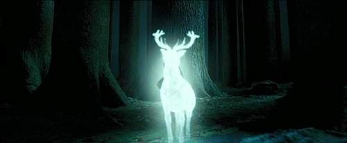 芬蘭《馴鹿變神獸》看到神獸還不快下車膜拜(誤很大) 芬蘭《馴鹿變神獸》看到神獸還不快下車膜拜(誤很大)