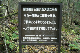 Pokemon Go《到富士山樹海去抓寶可夢》好孩子不要輕易嘗試... Pokemon Go《到富士山樹海去抓寶可夢》好孩子不要輕易嘗試...