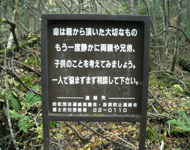 Pokemon Go《到富士山樹海去抓寶可夢》好孩子不要輕易嘗試... Pokemon Go《到富士山樹海去抓寶可夢》好孩子不要輕易嘗試...