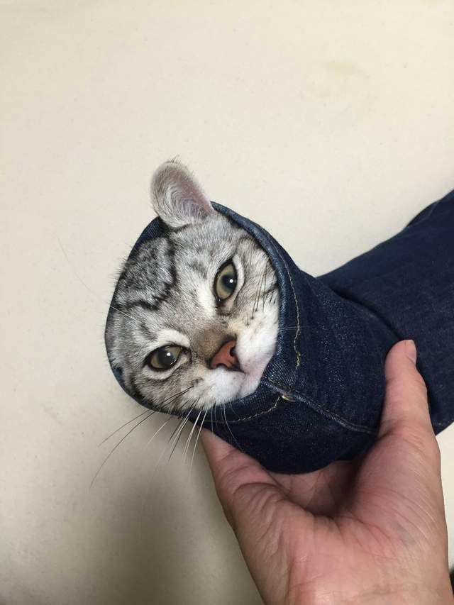 《惠方卷喵星人》看起來有夠好吃的～我要開動啦(張嘴) - 圖片5