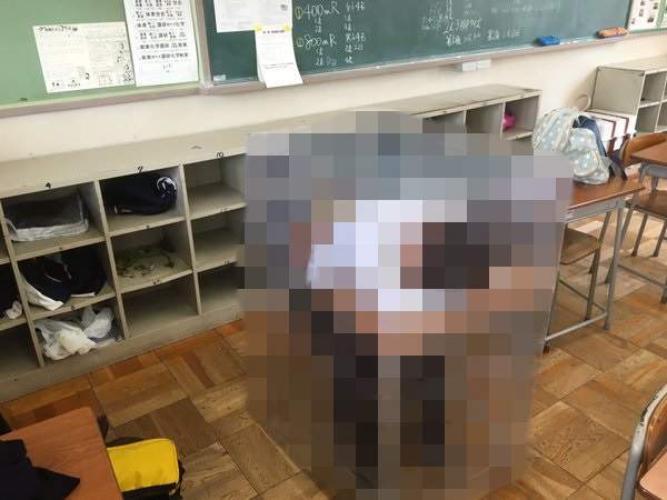 上課睡覺專用《防老師打擾屏障》老師應該想一掌把它打爛www 上課睡覺專用《防老師打擾屏障》老師應該想一掌把它打爛www