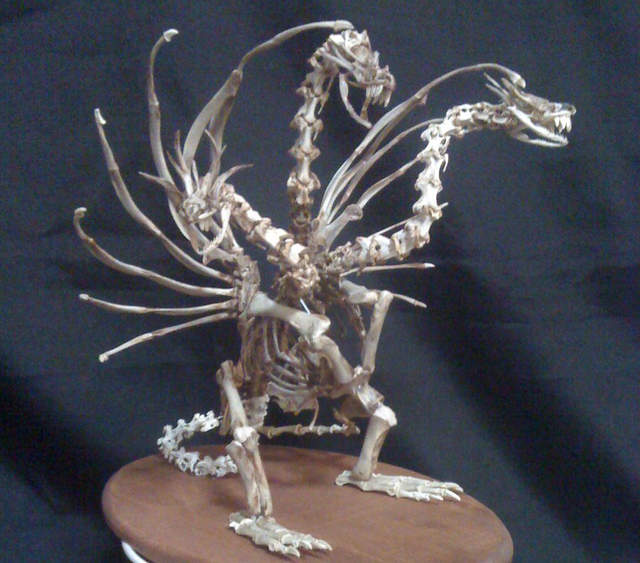 《骨骼藝術家揭露電視節目惡行》委託再次製作雞骨模型竟是超失禮的低價報酬