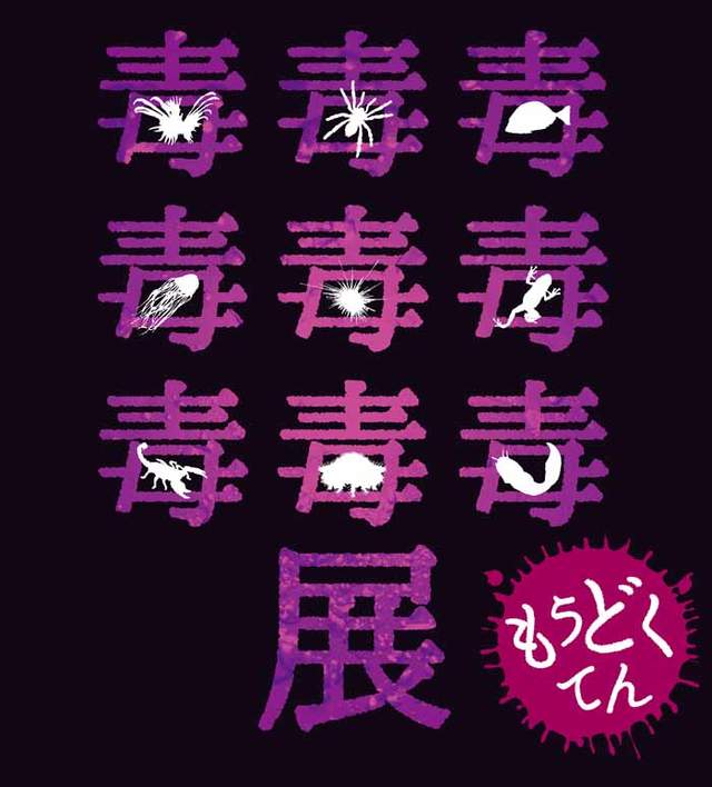 《毒毒毒毒毒毒毒毒毒展》各種有毒動物昆蟲植物應有盡有 《毒毒毒毒毒毒毒毒毒展》各種有毒動物昆蟲植物應有盡有