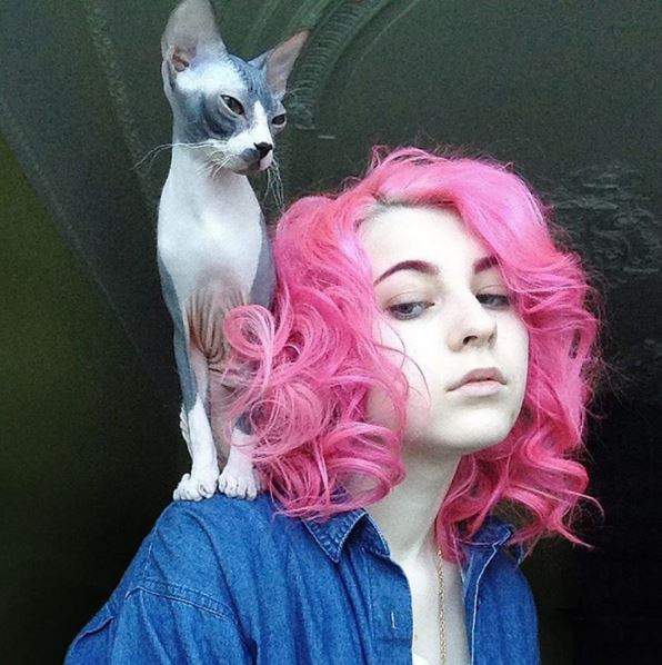 《寵物圖案帶身上》不是手機也不是刺青那是放在哪裡呢？