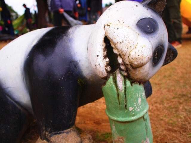 徹底調查《日本各地的詭異貓熊》難道沒有一隻可愛的嗎? 徹底調查《日本各地的詭異貓熊》難道沒有一隻可愛的嗎?