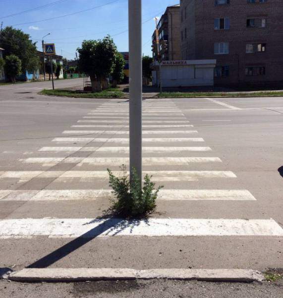 《戰鬥民族的生活方式》強者俄羅斯的日常果然跟我們很不一樣〝3〞 《戰鬥民族的生活方式》強者俄羅斯的日常果然跟我們很不一樣〝3〞