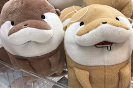 治癒感十足的《小爪水獺娃娃》日本夾娃娃機景品登場大受歡迎 治癒感十足的《小爪水獺娃娃》日本夾娃娃機景品登場大受歡迎