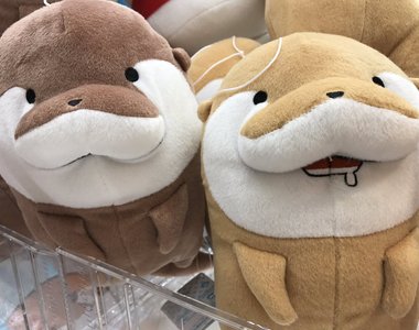 治癒感十足的《小爪水獺娃娃》日本夾娃娃機景品登場大受歡迎 治癒感十足的《小爪水獺娃娃》日本夾娃娃機景品登場大受歡迎