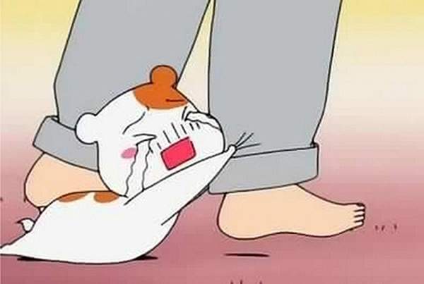 《讓人反感的相處行為》不分男女皆討厭的行為是？