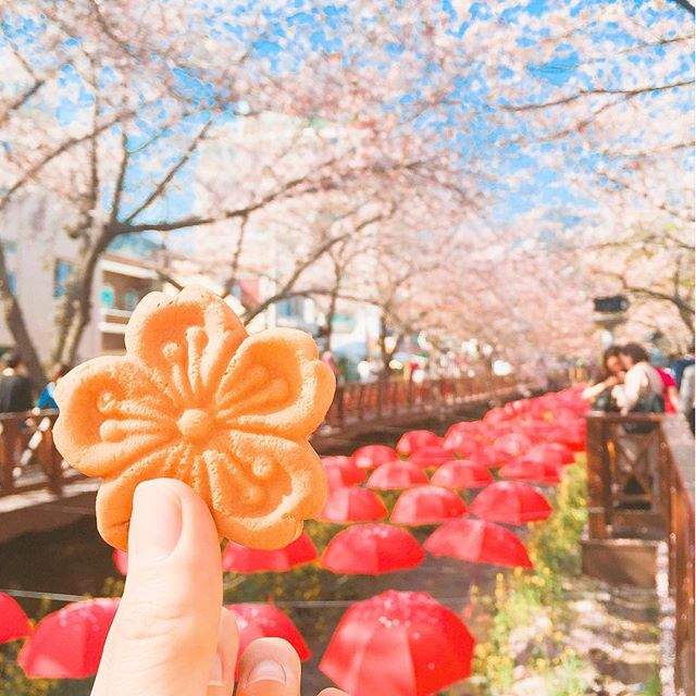 韓國鎮海限定《櫻花餅》櫻花季就是要吃櫻花呀♥ - 圖片1