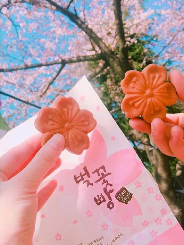 韓國鎮海限定《櫻花餅》櫻花季就是要吃櫻花呀♥ - 圖片4