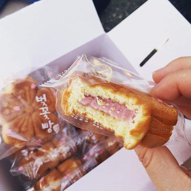 韓國鎮海限定《櫻花餅》櫻花季就是要吃櫻花呀♥ - 圖片5