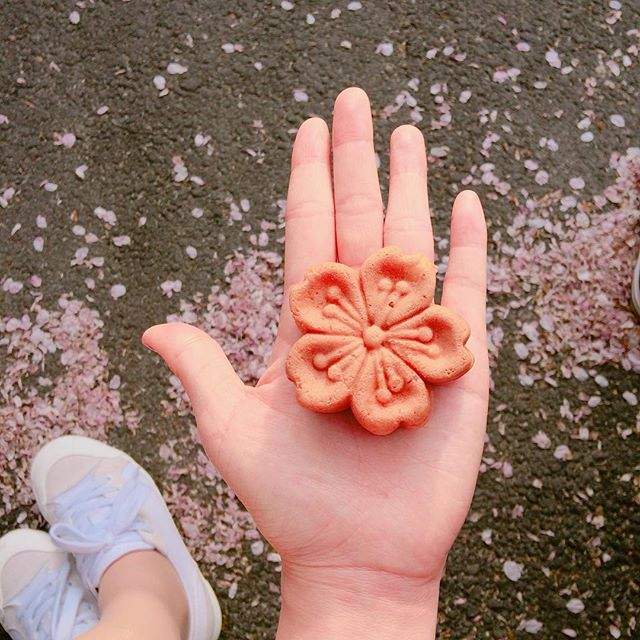 韓國鎮海限定《櫻花餅》櫻花季就是要吃櫻花呀♥ - 圖片6