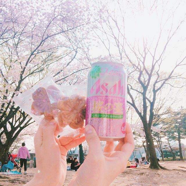 韓國鎮海限定《櫻花餅》櫻花季就是要吃櫻花呀♥ - 圖片7