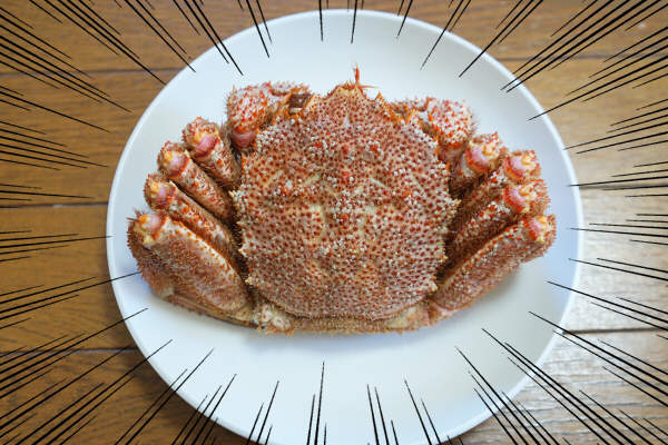 《ARuFa流螃蟹新吃法》這是只有大神才能想出的創意妙招 - 圖片1