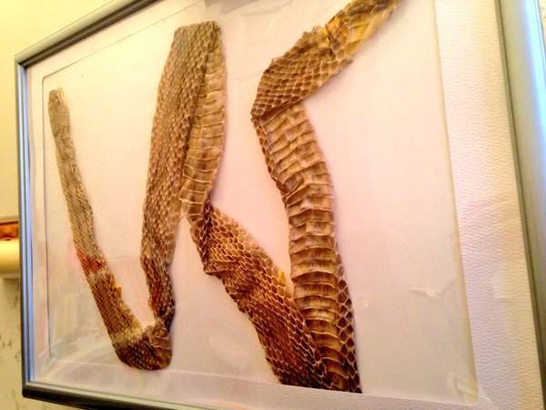 《廁所珍奇百景》難道只有我家廁所會出現這種情景嗎www(淚笑) 《廁所珍奇百景》難道只有我家廁所會出現這種情景嗎www(淚笑)