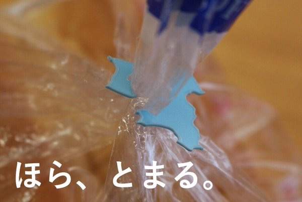 台灣造型師掀起的《麵包夾貓咪熱》這個東西終於有用了……