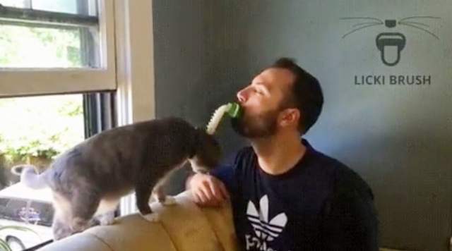 慾望激發《貓奴用舔舔貓刷》激發舔主子的深層慾望ΦωΦ