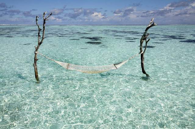 手作《模型用吊床》幾根筷子加上水果套袋DIY就可以輕鬆完成啦