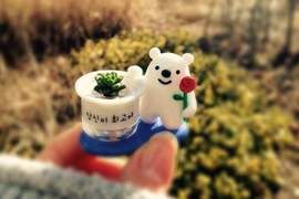 風靡OL圈的療癒小物《迷你多肉植物》姐都是靠這個忍住打老闆的衝動(欸?) 風靡OL圈的療癒小物《迷你多肉植物》姐都是靠這個忍住打老闆的衝動(欸?)