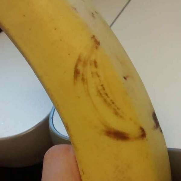 腦補ing《驚奇的食材樣貌》香蕉身上竟然會有香蕉刺青？