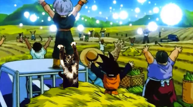 《舉手貓Keys》PS改圖大混戰　請大家把力量借給我吧！（高舉）