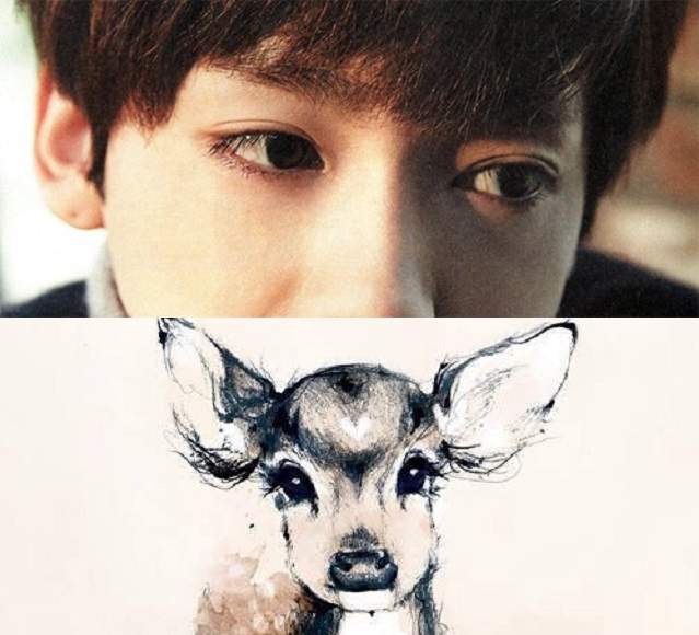 偶像的《超空靈鹿眼》終於找到小鹿亂撞的原因了（笑）