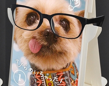 《貓狗眼鏡架桌曆》有毛小孩幫你戴著再也不怕找不到眼鏡惹❤ 《貓狗眼鏡架桌曆》有毛小孩幫你戴著再也不怕找不到眼鏡惹❤