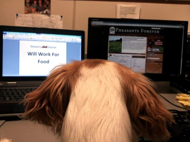 人資公開《履歷上最奇怪的內容》太搞怪公司也不敢收啦 人資公開《履歷上最奇怪的內容》太搞怪公司也不敢收啦