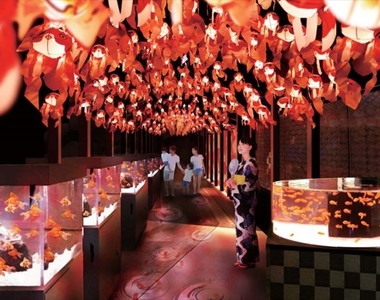 《東京晴空塔》墨田水族館「江戶的金魚仙境」讓你體驗被金魚圍繞的感覺 《東京晴空塔》墨田水族館「江戶的金魚仙境」讓你體驗被金魚圍繞的感覺