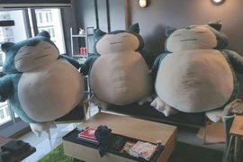 《買了卡比獸差點被離婚》因為送來的卡比獸這~麼大(驚恐) 《買了卡比獸差點被離婚》因為送來的卡比獸這~麼大(驚恐)