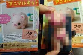 小豬羊毛氈組合包《經過18禁繪師之手》會進化成什麼型態呢? 小豬羊毛氈組合包《經過18禁繪師之手》會進化成什麼型態呢?