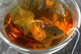 生活充滿小驚奇《特別的茶包設計》世界知名的金魚茶包是台灣設計的唷 ❤ 生活充滿小驚奇《特別的茶包設計》世界知名的金魚茶包是台灣設計的唷 ❤