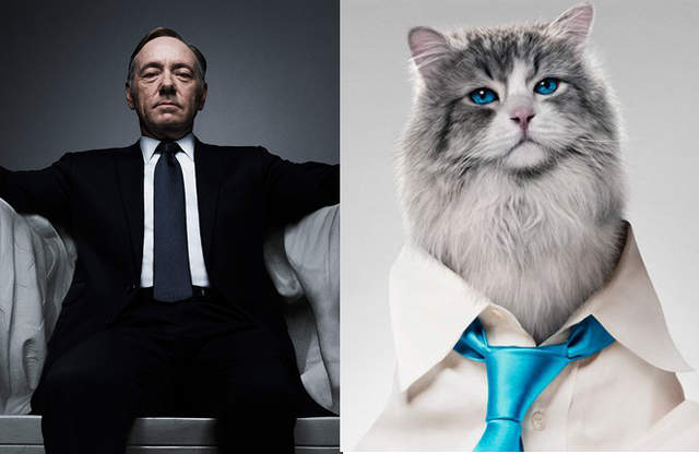 電影《我的老爸喵星人》貓奴總統算什麼?美國總統都變成貓了(誤) 電影《我的老爸喵星人》貓奴總統算什麼?美國總統都變成貓了(誤)