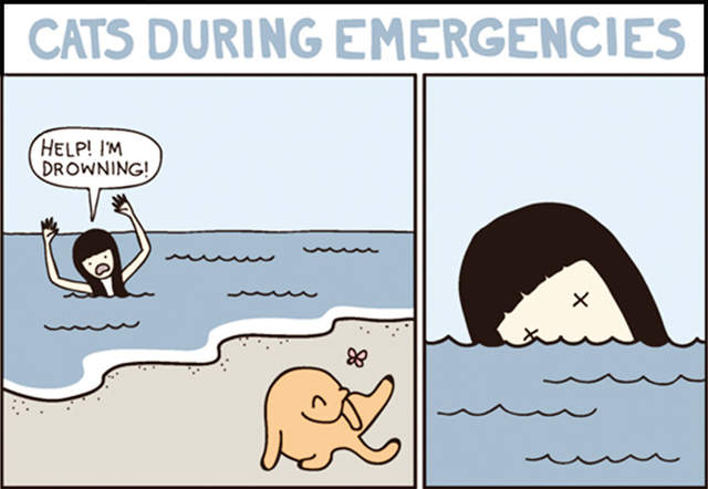 《貓咪vs人類》幽默網路漫畫描述貓奴的辛酸與幸福 《貓咪vs人類》幽默網路漫畫描述貓奴的辛酸與幸福