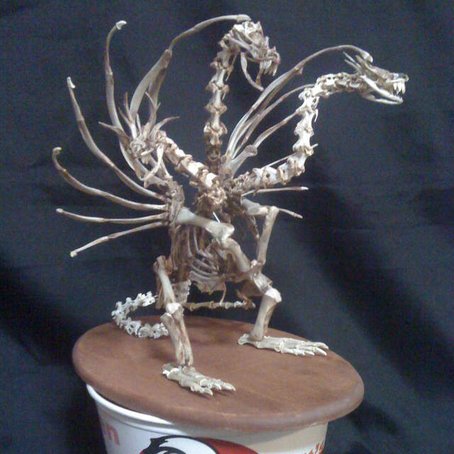 《肯德基雞骨的再利用》熬湯以外竟然還能做成骨骼模型?! 《肯德基雞骨的再利用》熬湯以外竟然還能做成骨骼模型?!