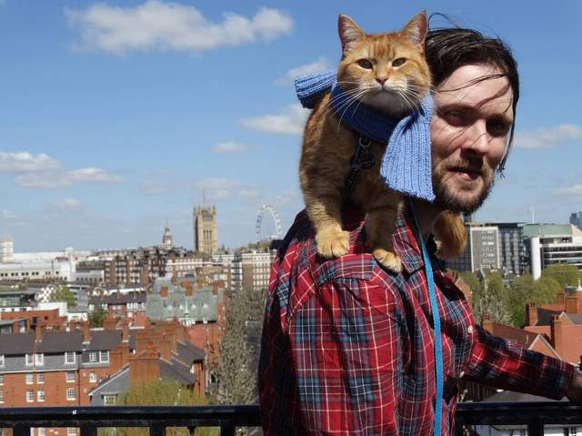 《遇見街貓Bob》電影版 倫敦流浪漢與貓的奇蹟物語 《遇見街貓Bob》電影版 倫敦流浪漢與貓的奇蹟物語