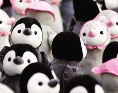 韓國期間限定《1000隻企鵝展》來這要小心爆走的少女心♥ 韓國期間限定《1000隻企鵝展》來這要小心爆走的少女心♥