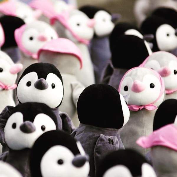 韓國期間限定《1000隻企鵝展》來這要小心爆走的少女心♥