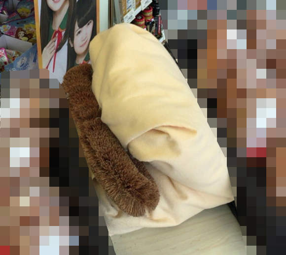 《便利商店超謎宣傳物》被包夾的棕刷到底想表達什麼咧?wwww  《便利商店超謎宣傳物》被包夾的棕刷到底想表達什麼咧?wwww