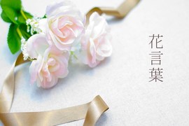 情人節來臨你不能不知道《玫瑰花花語》雖然知道也用不上(挖鼻) 情人節來臨你不能不知道《玫瑰花花語》雖然知道也用不上(挖鼻)