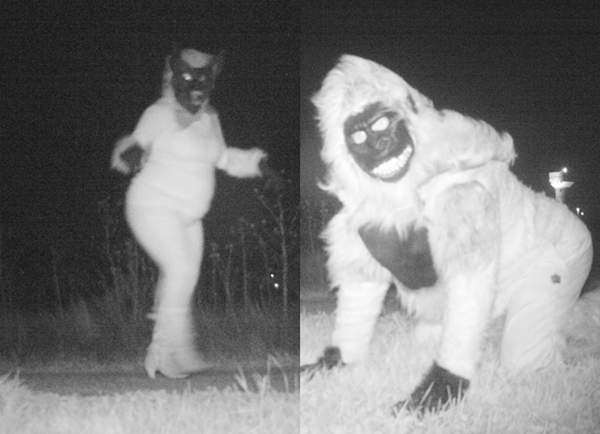 野生動物相機《拍到超有病變裝團體》原來這些都是給警局人員的驚喜啦ww 野生動物相機《拍到超有病變裝團體》原來這些都是給警局人員的驚喜啦ww
