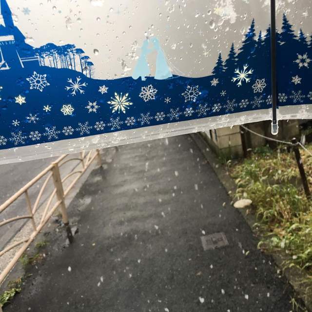 日本小7限定《迪士尼公主雨傘》看來又要掀起一股搶購潮啦