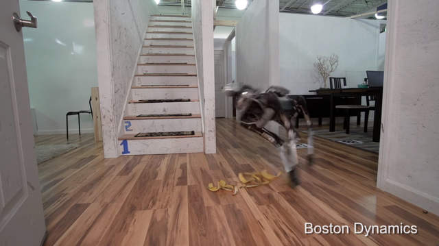 《機器狗SpotMini》幫忙做家事的機器狗　踩到香蕉皮也會滑倒喔w - 圖片1