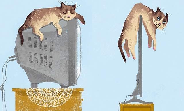 《貓生活進化論》想當年本喵就是這樣生活的（軟）