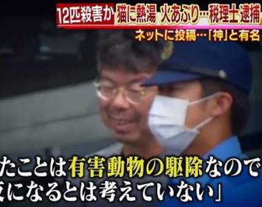 《日本虐貓狂魔落網》噴槍燒、滾水澆…殘忍虐殺貓咪拍片上網分享 《日本虐貓狂魔落網》噴槍燒、滾水澆…殘忍虐殺貓咪拍片上網分享