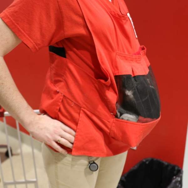 貓袋裝2.0《貓咪育嬰袋Kitten Bjorn》照顧小貓之餘還可以學習社會化呢